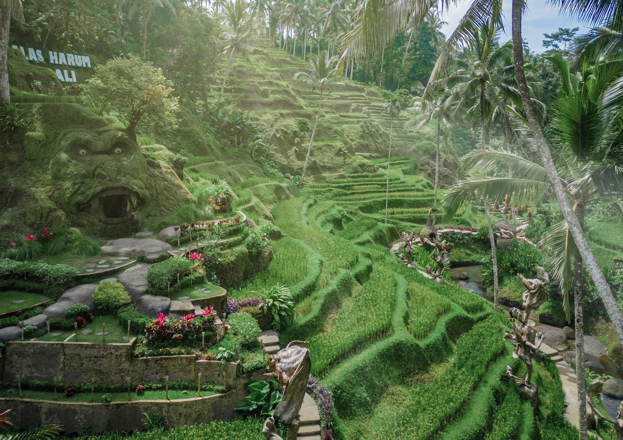 Alas Harum rice terraces in Tegellalang