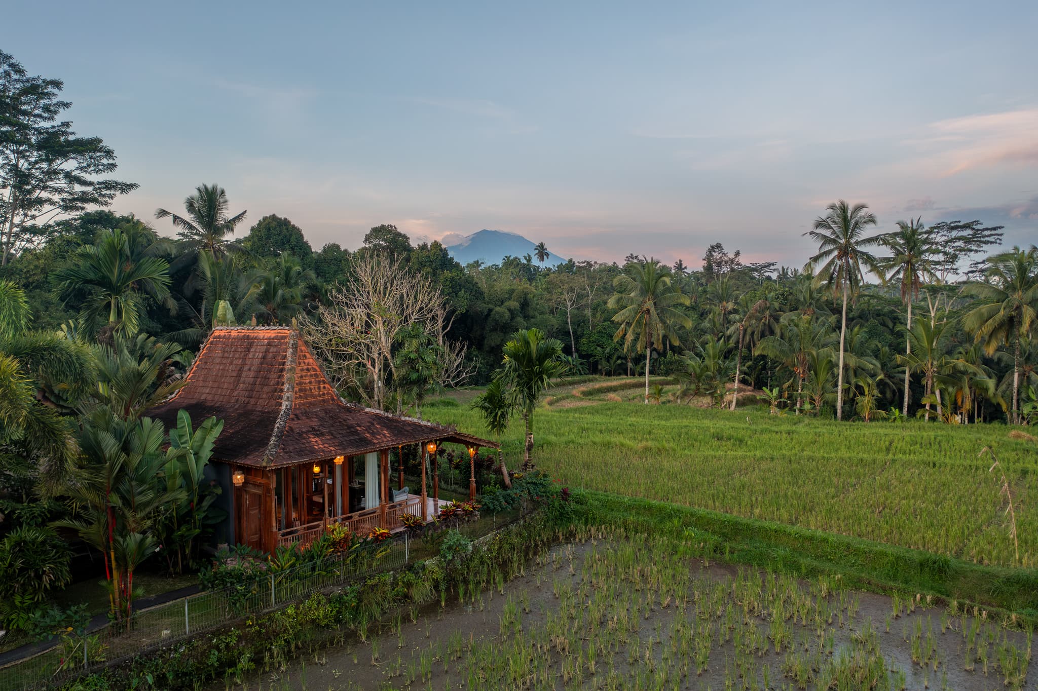 Villa Tau - views from the joglo suite