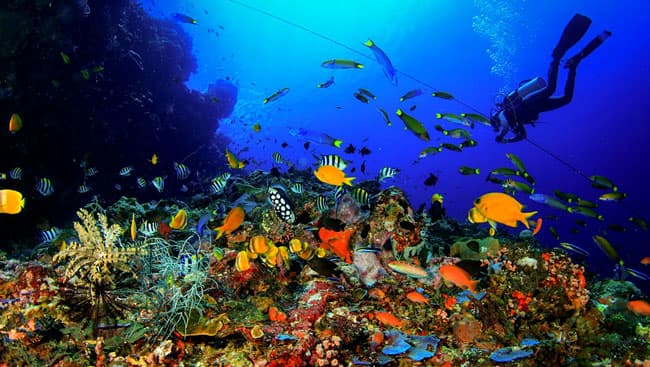 Scuba diving near Villa Cocoa Maya in Candidasa Bali