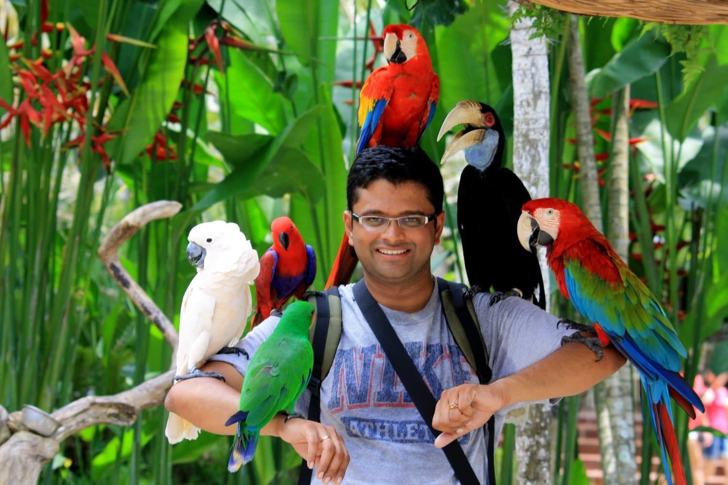 Bali Bird Park Ubud