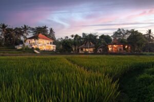 fdb12825 8a04 4a7d b019 b96118481589